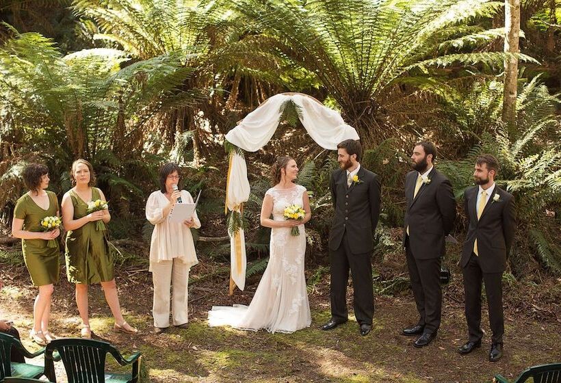 בית מלון כפרי Forest Walks Lodge