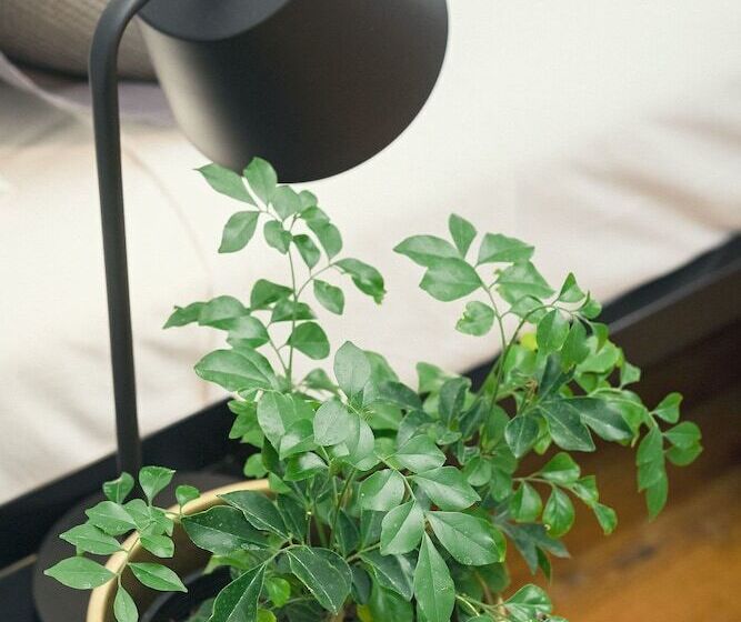 ホテル Cunnamulla