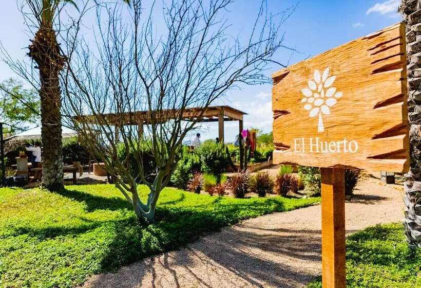 Hotelli Zadun, A Ritzcarlton Reserve