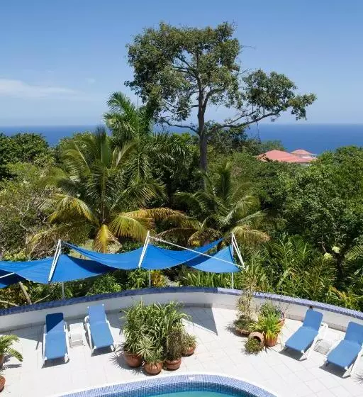 هتل Mockingbird Hill