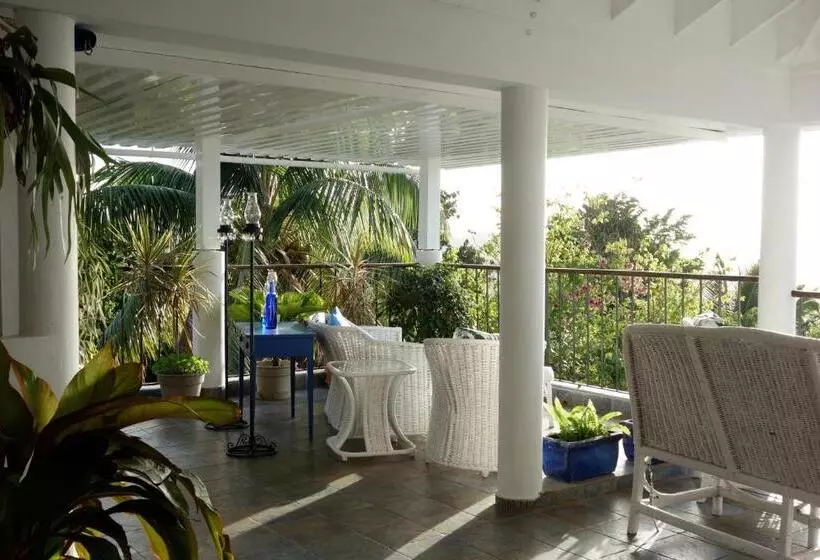 هتل Mockingbird Hill