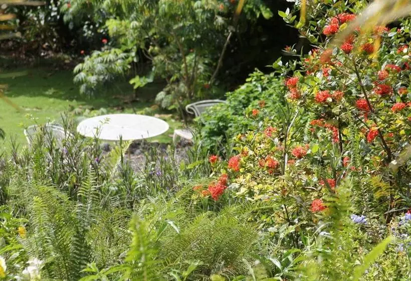 هتل Mockingbird Hill