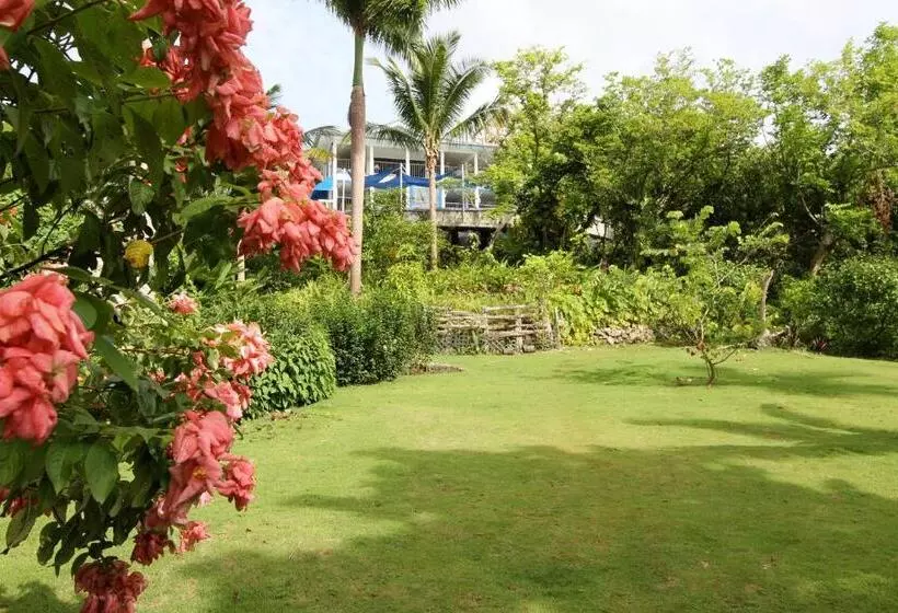 هتل Mockingbird Hill