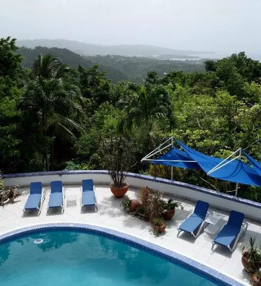 هتل Mockingbird Hill