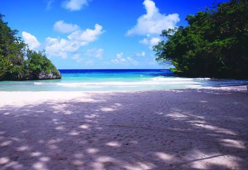 هتل Mockingbird Hill