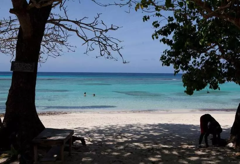 هتل Mockingbird Hill