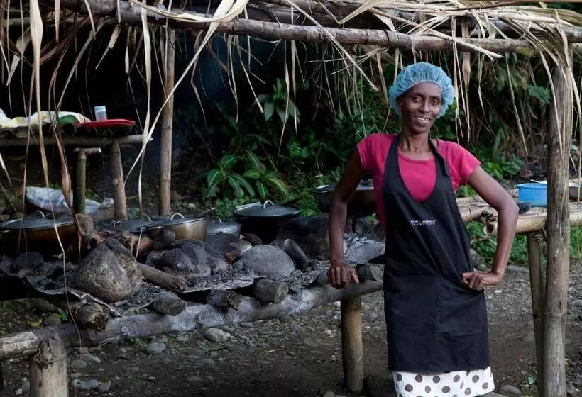 هتل Mockingbird Hill