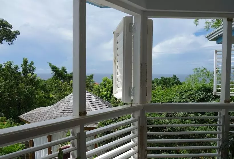 هتل Mockingbird Hill