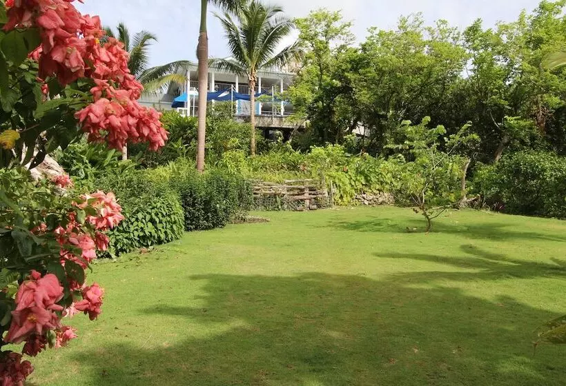 هتل Mockingbird Hill