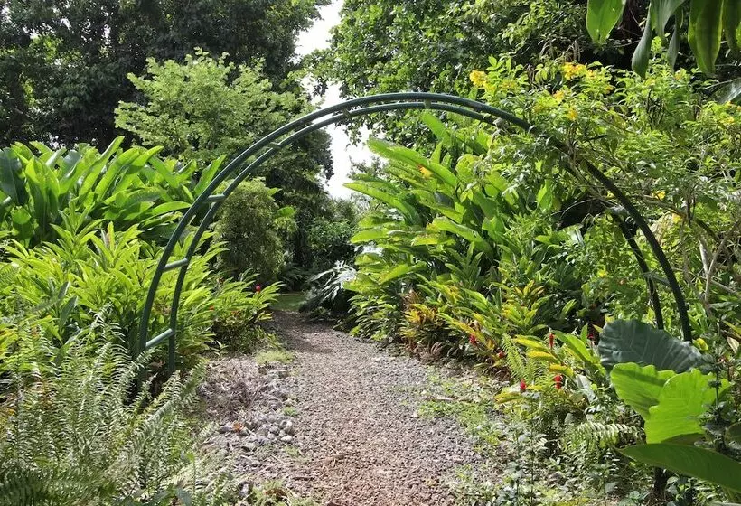 هتل Mockingbird Hill