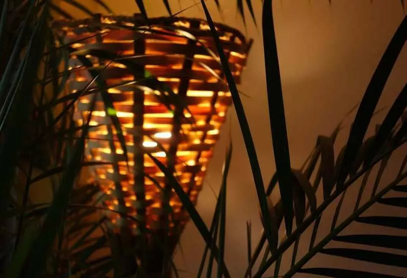 هتل Mockingbird Hill