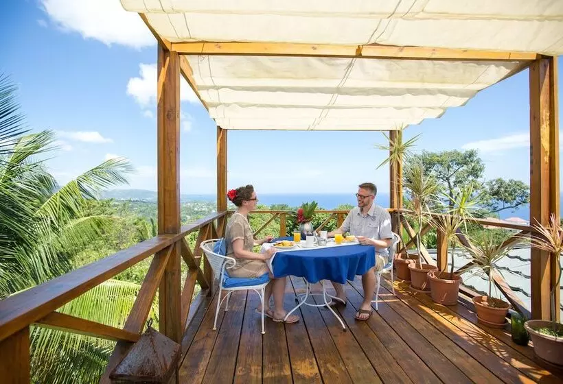 هتل Mockingbird Hill