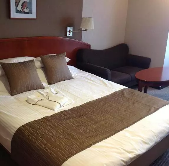 בית מלון כפרי Okayama Plaza