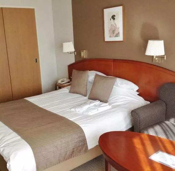 בית מלון כפרי Okayama Plaza