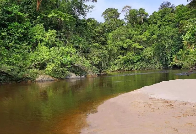 Курорт Mutiara Taman Negara
