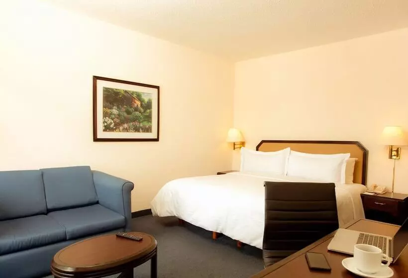 ホテル Fiesta Inn Monclova