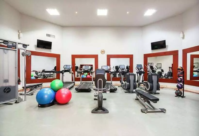 فندق Hilton San Luis Potosi