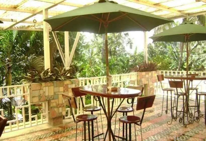 Отель Palenque Premier