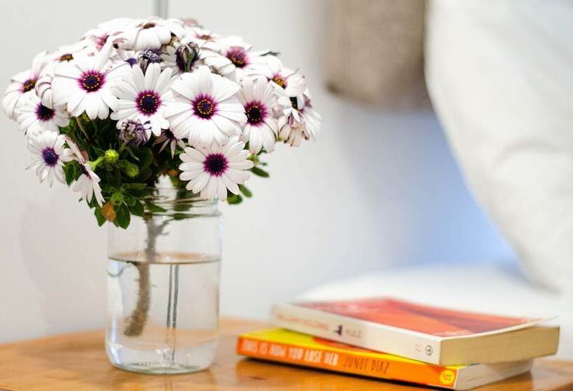 هتل Paydos Pansiyon