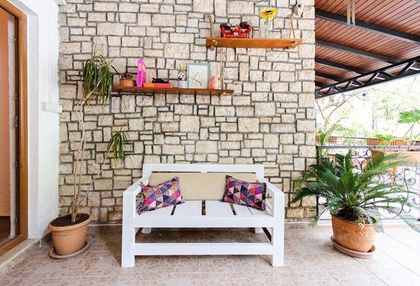 هتل Paydos Pansiyon