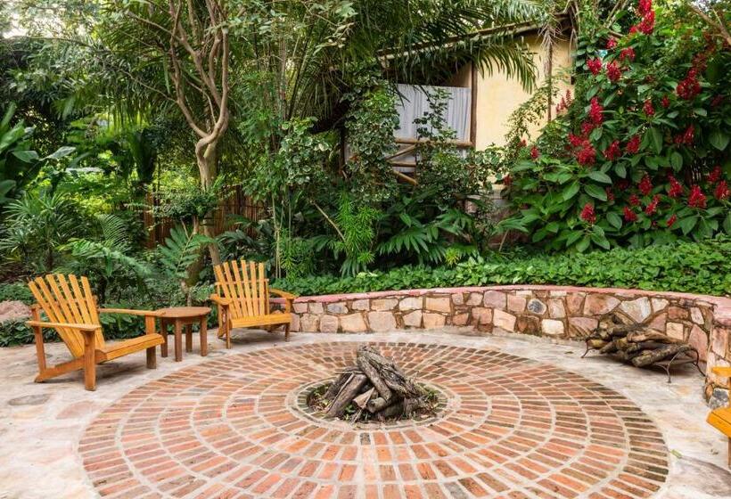 ホテル Pousada Vila Serrano