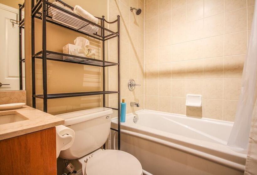 酒店 Sarkar Suites   Yorkville