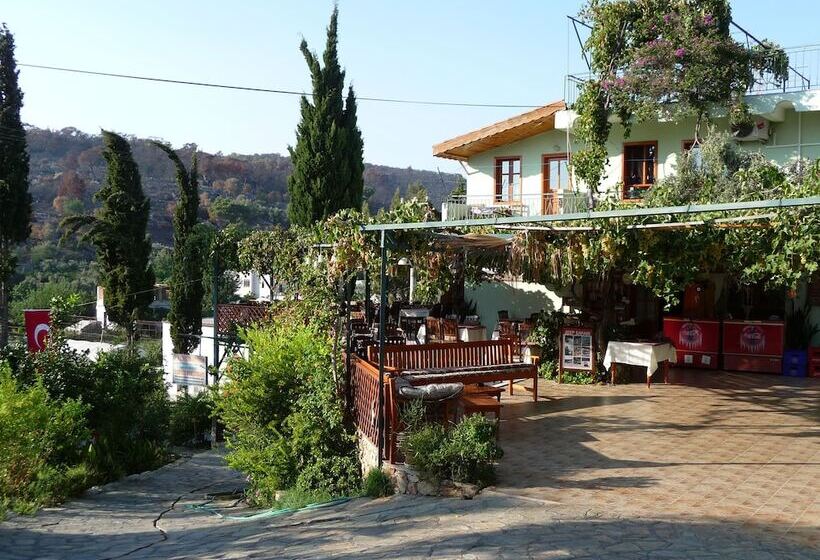 فندق St. Nicholas Pension