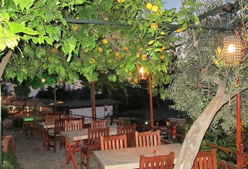 فندق St. Nicholas Pension