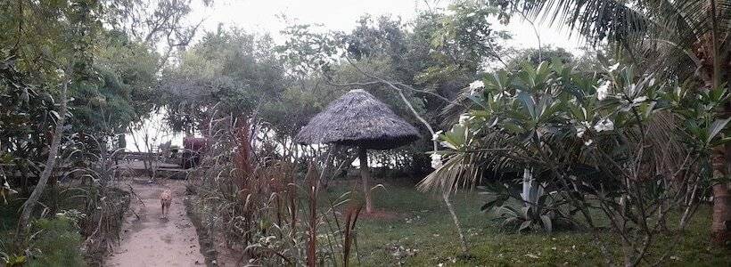 هتل Swahili Divers & Gecko Nature Lodge