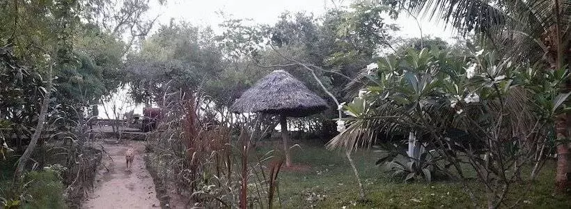 هتل Swahili Divers & Gecko Nature Lodge