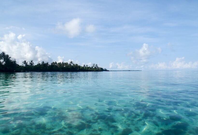 هتل Swahili Divers & Gecko Nature Lodge