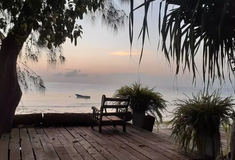 هتل Swahili Divers & Gecko Nature Lodge