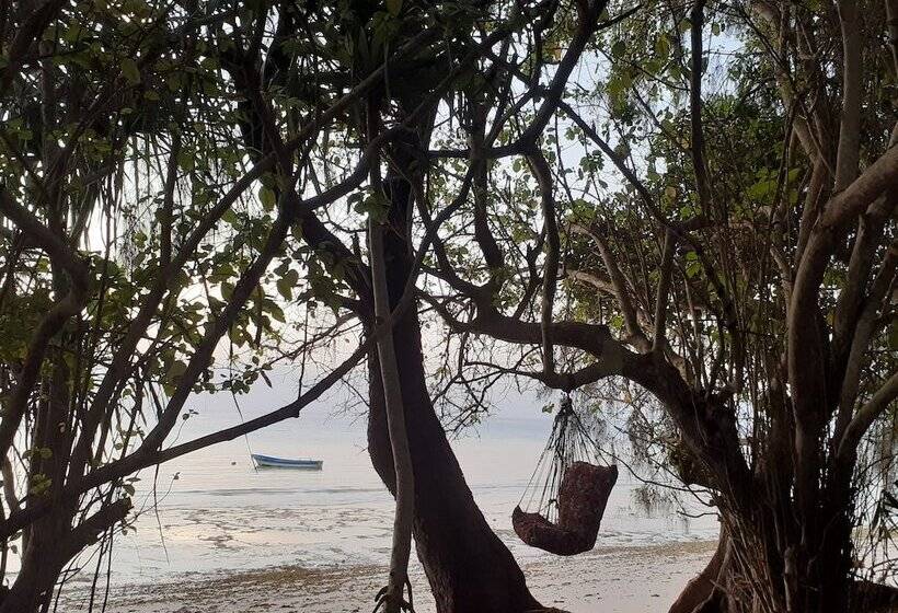هتل Swahili Divers & Gecko Nature Lodge