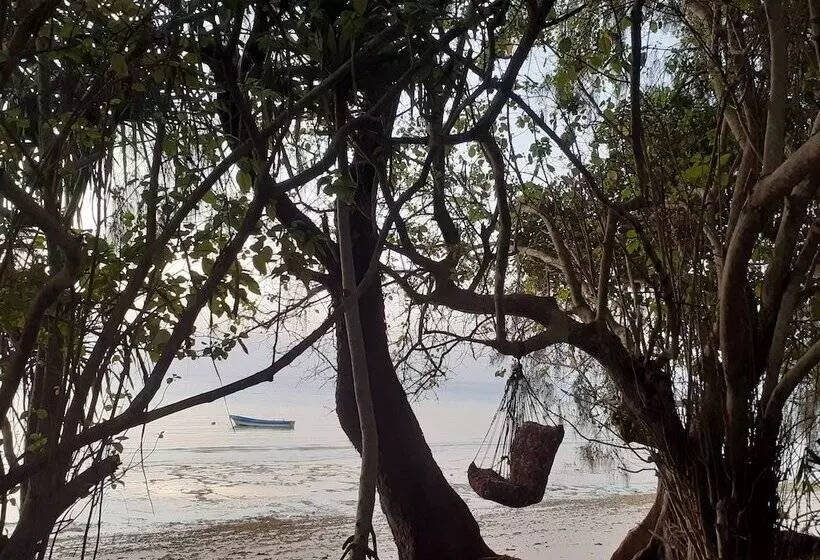 هتل Swahili Divers & Gecko Nature Lodge