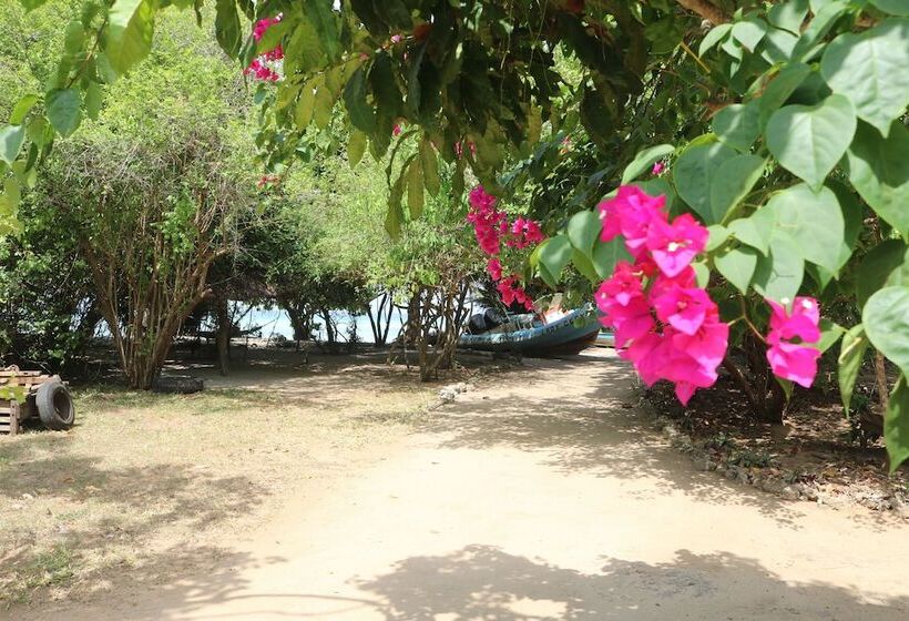 هتل Swahili Divers & Gecko Nature Lodge