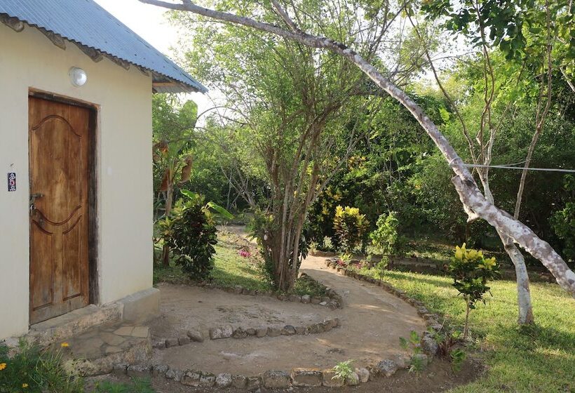 هتل Swahili Divers & Gecko Nature Lodge