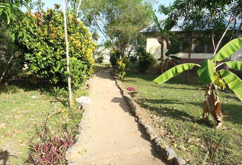 هتل Swahili Divers & Gecko Nature Lodge