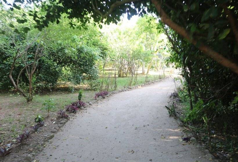 هتل Swahili Divers & Gecko Nature Lodge