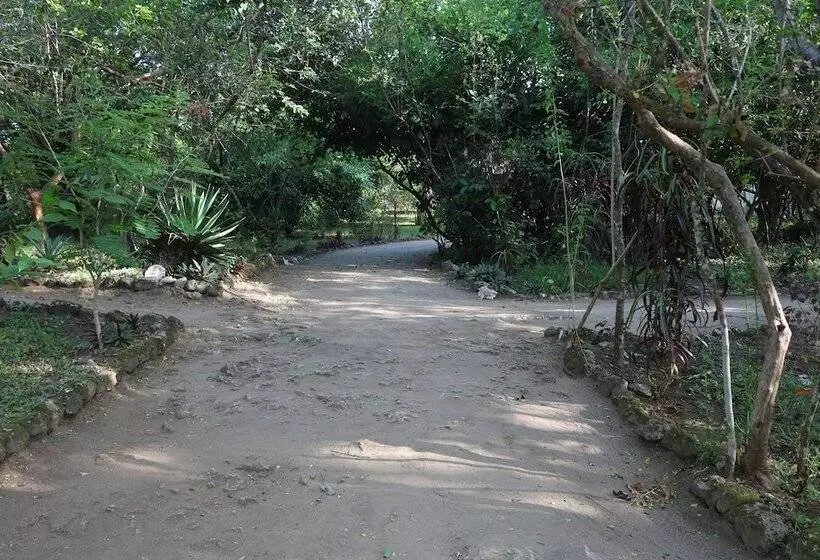 هتل Swahili Divers & Gecko Nature Lodge