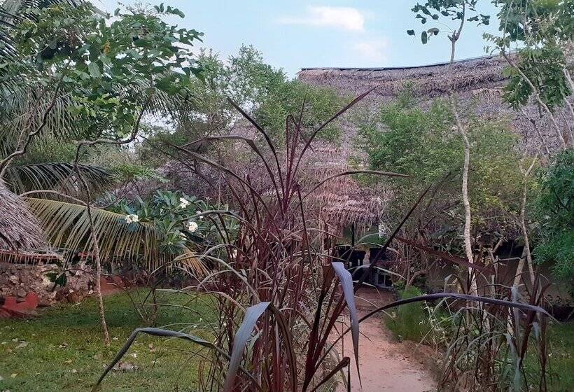 هتل Swahili Divers & Gecko Nature Lodge