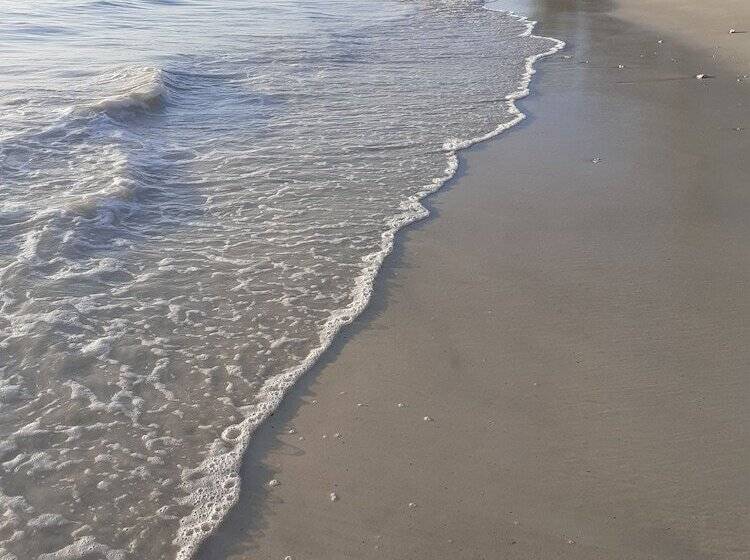 هتل Swahili Divers & Gecko Nature Lodge