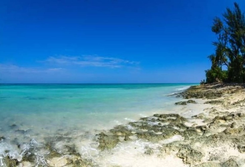 هتل Swahili Divers & Gecko Nature Lodge