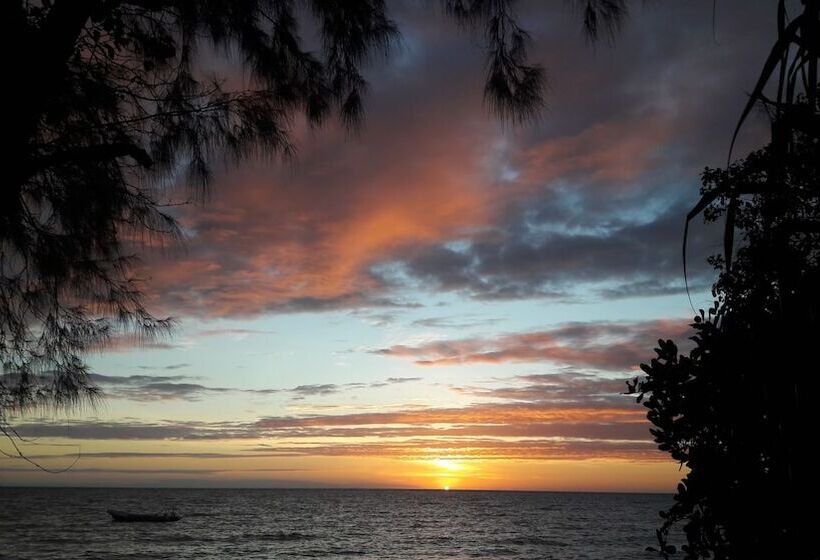 هتل Swahili Divers & Gecko Nature Lodge