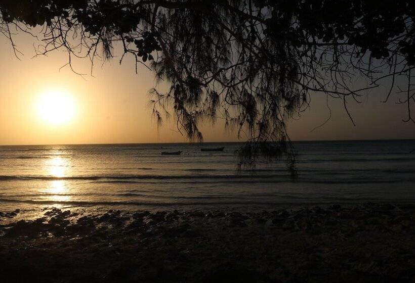 هتل Swahili Divers & Gecko Nature Lodge