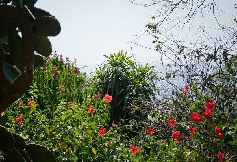 فندق Vista De Olas