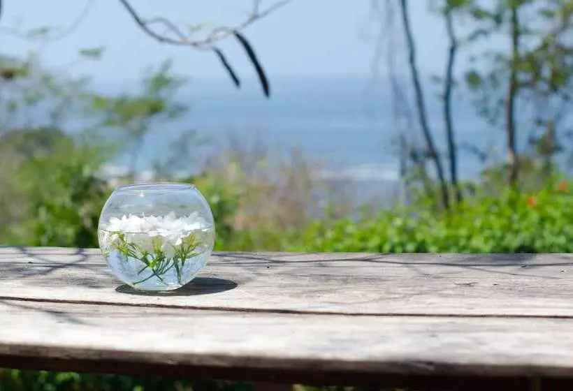 ホテル Vista De Olas