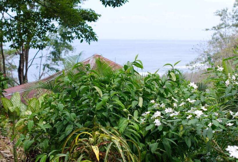 هتل Vista De Olas