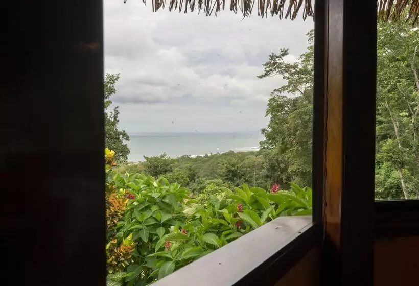 ホテル Vista De Olas