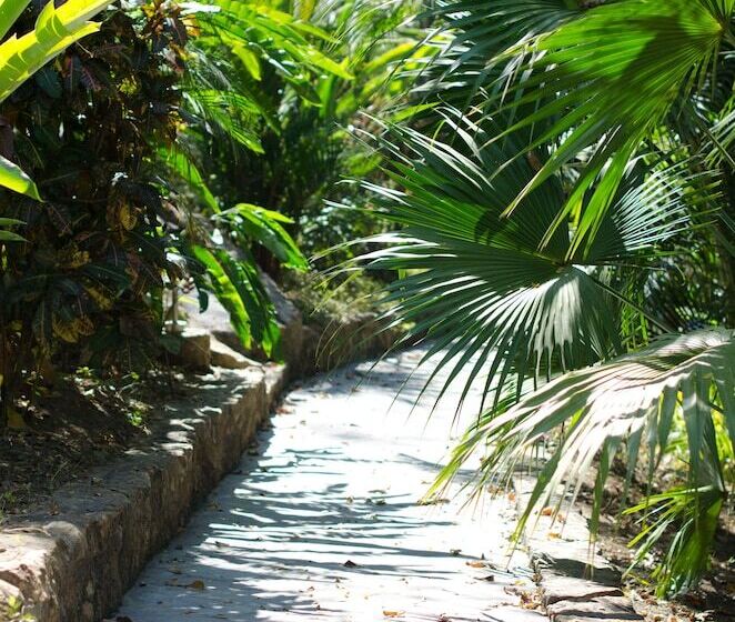 فندق Vista De Olas
