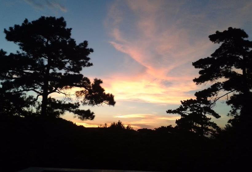 Wuyue Scenic Area Hotel Lushan Mountain